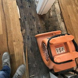 Repair Buckled Wood Floors